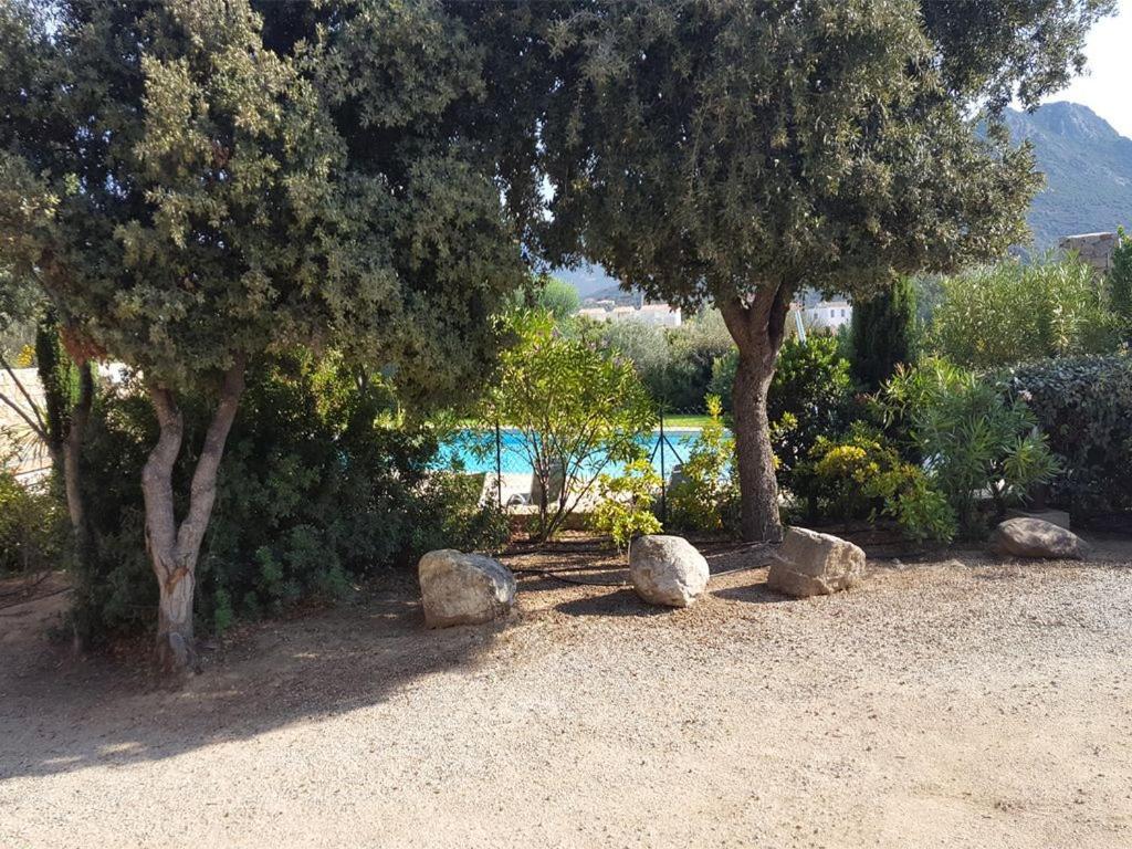 Vila Le Bois De Capra Scorsa Belgodère Exteriér fotografie