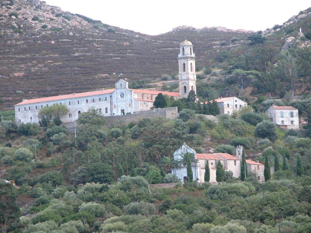Vila Le Bois De Capra Scorsa Belgodère Exteriér fotografie