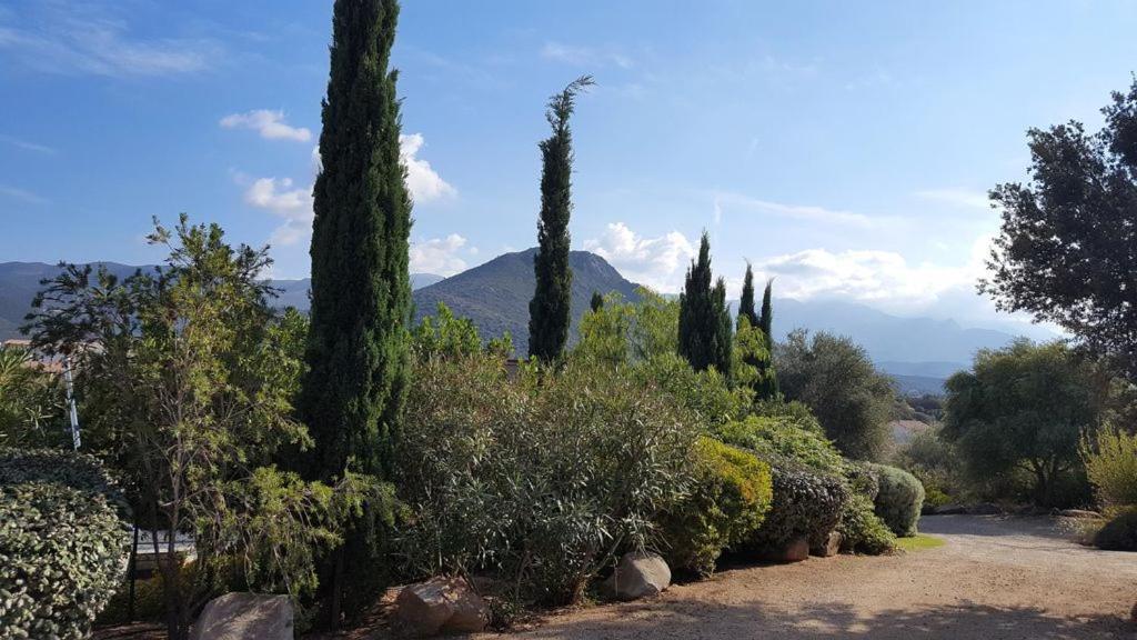Vila Le Bois De Capra Scorsa Belgodère Exteriér fotografie
