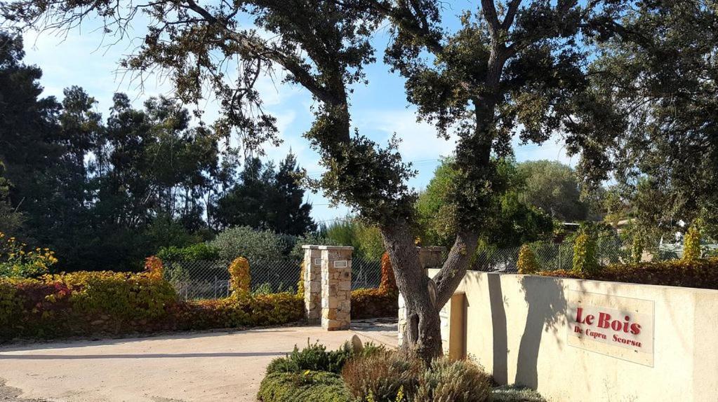 Vila Le Bois De Capra Scorsa Belgodère Exteriér fotografie